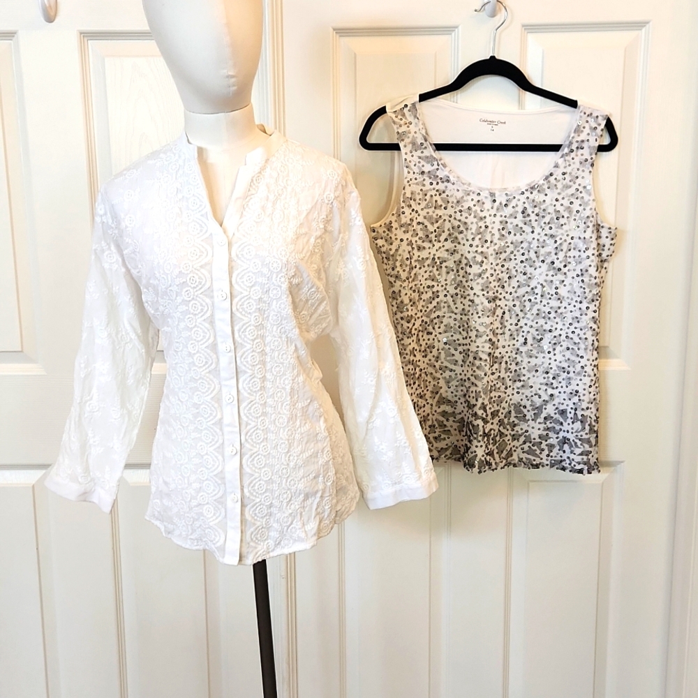 Lot of two Coldwater Creek tops